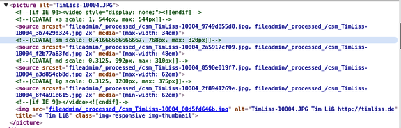 responsiveimagescode.png  